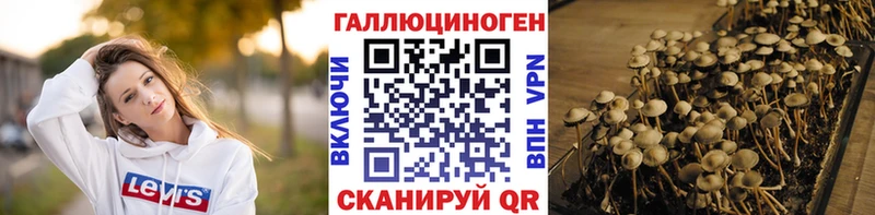 Псилоцибиновые грибы Cubensis  Никольское 