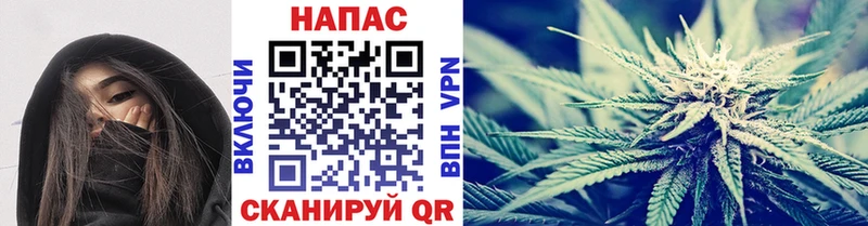 Марихуана Amnesia  Никольское 